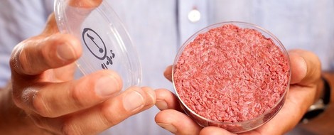  Welcome To The Brave New World Of Food