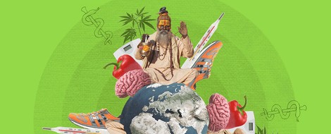 The Guardian Launches Mature Cannabis Column For Adults