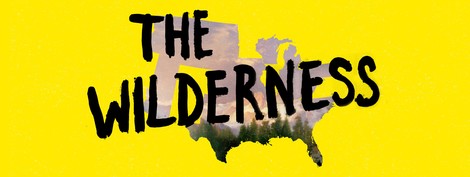 Can the Democratic Party Come Back from the Wilderness and Defeat Trump? 
