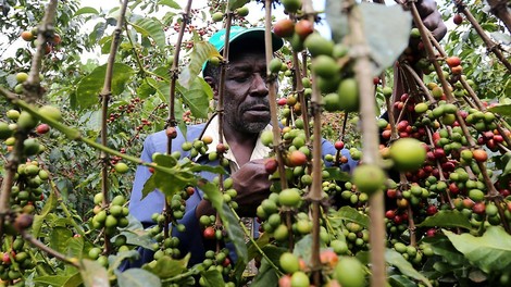Podcast: Is Africa's Big Philanthropy Helping Or Hindering Food Security?