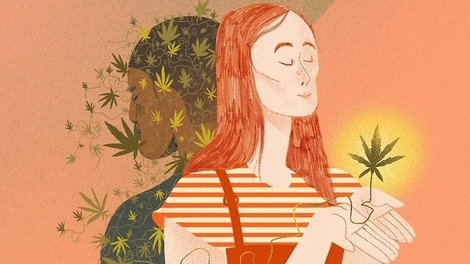 A Legal Boom, But for Whom? A Look Into The Gap Between Two Cannabis Economies 