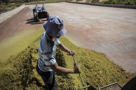 Setting the record straight on South Africa's farm murder rate
