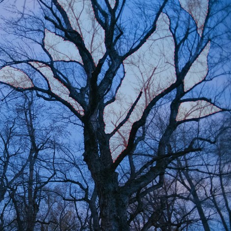 Here Be Monsters: The Promise Within Negative Space