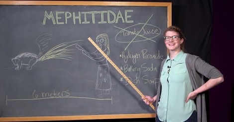 Women In Science Communication: Can We Look Beyond Boobs, Please?