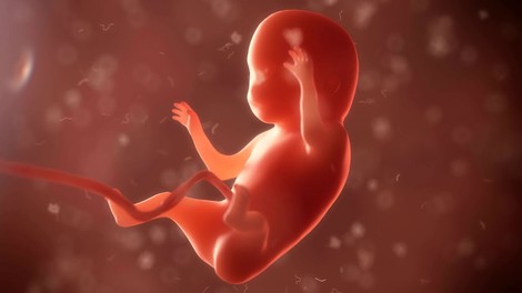 Gene Therapy Treats Baby Still In The Womb