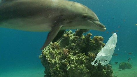 Video: Is There A Way Out From The Plastic Epidemic?