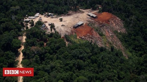 Against A Trend Towards Conservation In Latin America, Brazil Erodes Forestry Laws