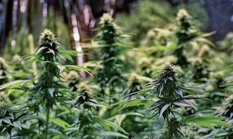 The Origin Of Strains