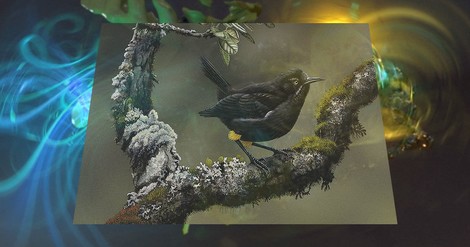 The Artist Memorializing Extinct Species 