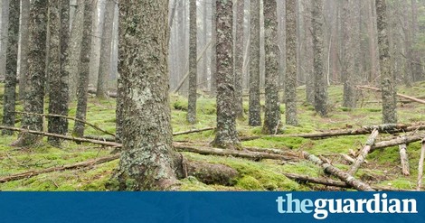 How One Man Survived Alone in the Wilderness For 27 Years 