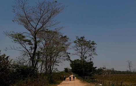 Guatemala Under Greenwashed Displacement 