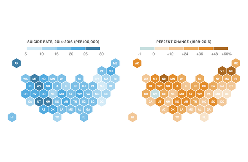 Rising Suicide Rates Prove It’s More Than A Mental Health Issue