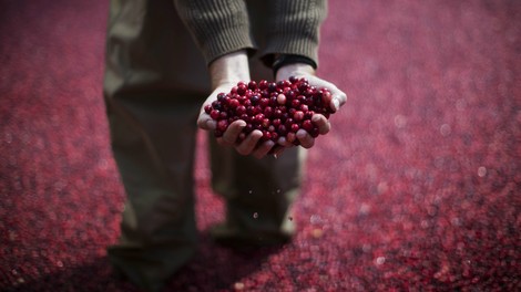 Cranberries Caught In Trade-War Standoff: The Unlikely Story Of An American Industry