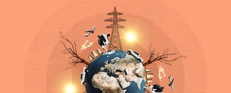 Bison: Helping Us Keep Climate Change At Bay
